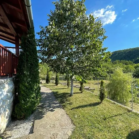 Cabana Vladimir Cucuceni