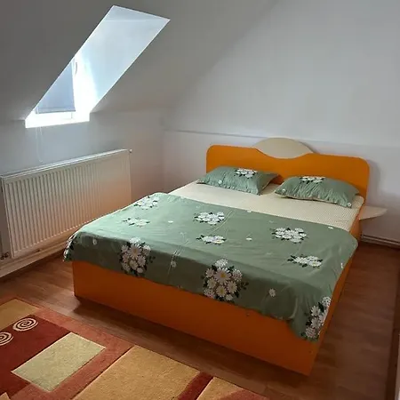 Cabana Vladimir Holiday home *