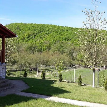 Cabana Vladimir Holiday home