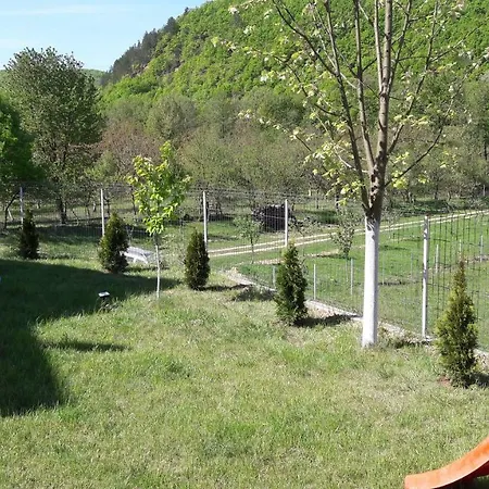Holiday home Cabana Vladimir *